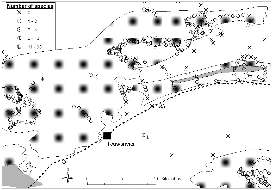 Number of species at Touwsrivier