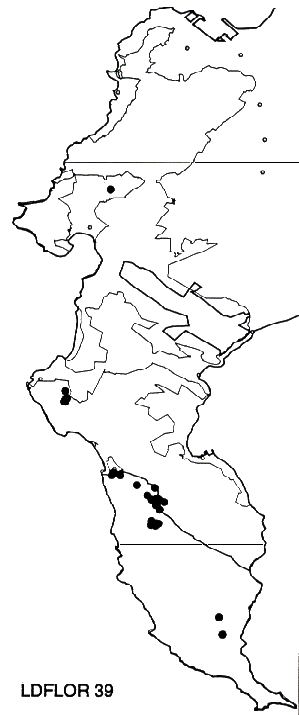 Leucadendron floridum Distribution