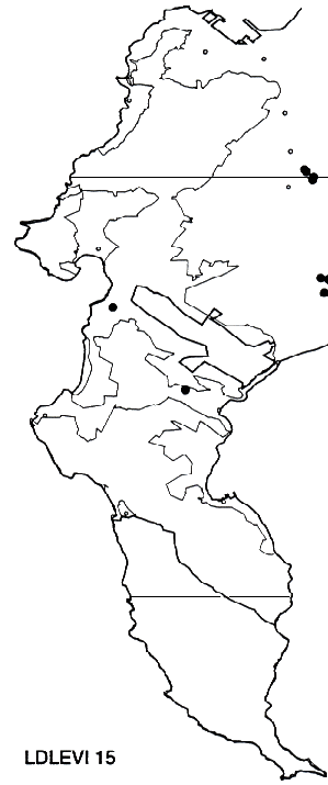 Leucadendron levisanus Distribution