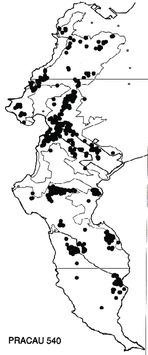 Protea acaulos Distribution