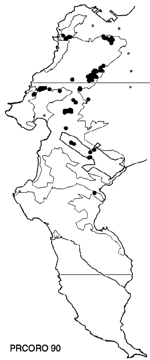 Protea coronata Distribution