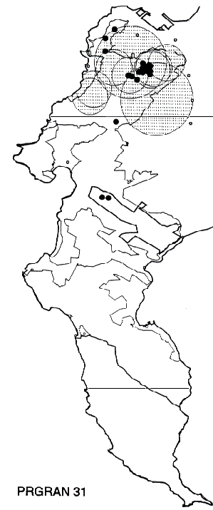 Protea grandiceps Distribution