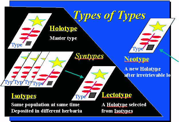 Types of Types