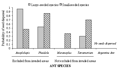 Probability of Seed Dispersal