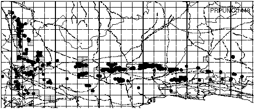 Protea punctata Distribution