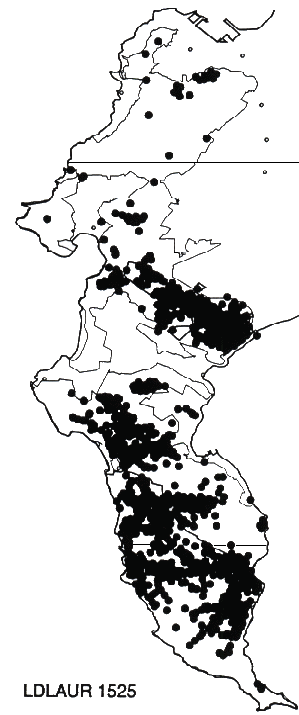 Leucadendron laureolum Distribution