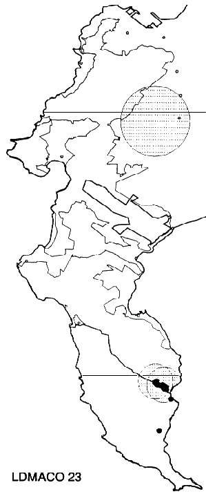 Leucadendron macowanii Distribution
