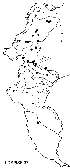 Leucadendron spissifolium spissifolium Distribution