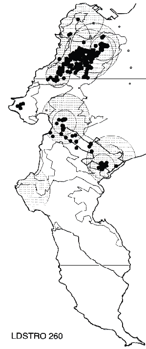 Leucadendron strobilinum Distribution