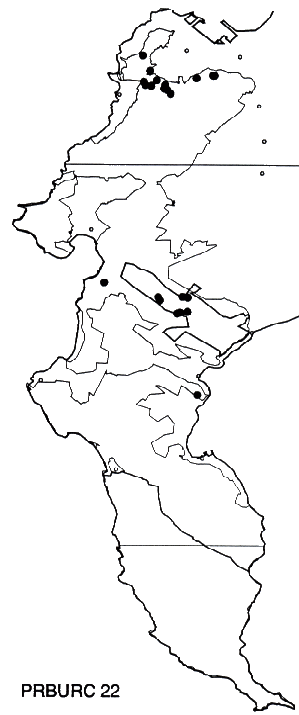 Protea burchelli Distribution