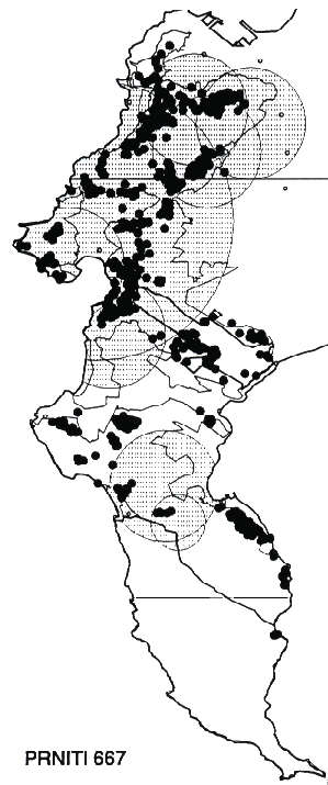Protea nitida Distribution