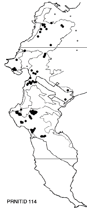 Protea nitida Distribution