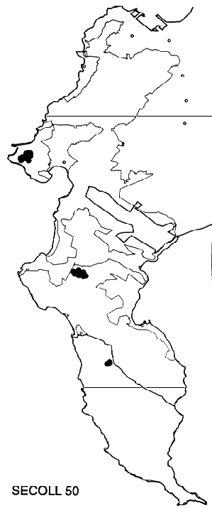Serruria collina flagellaris Distribution
