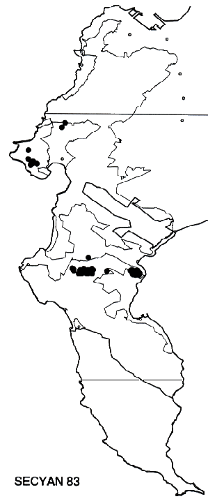 Serruria cyanoides Distribution