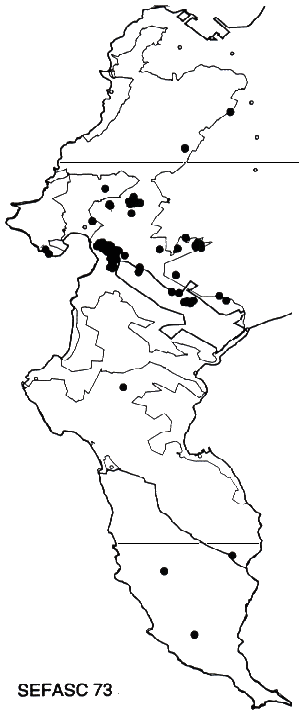Serruria fasciflora Distribution
