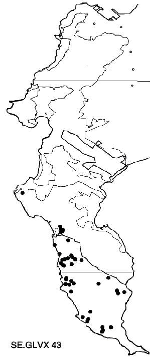 Serruria glomerata X Se villosa Distribution