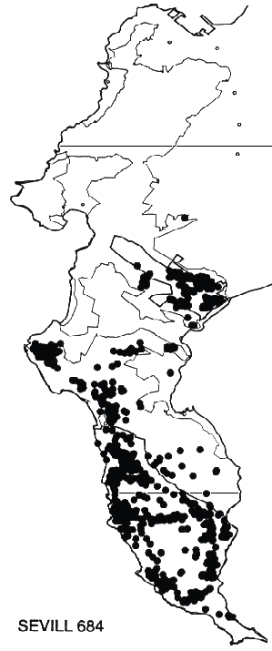 Serruria villosa Distribution