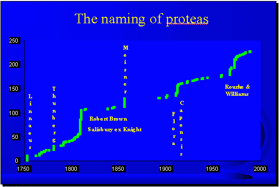 Naming of Proteas