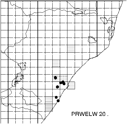 Protea welwitschii Distribution